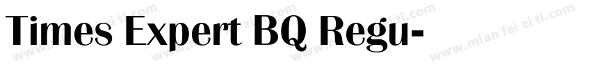 Times Expert BQ Regu字体转换